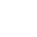 pistols
