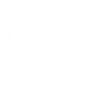 rectifier